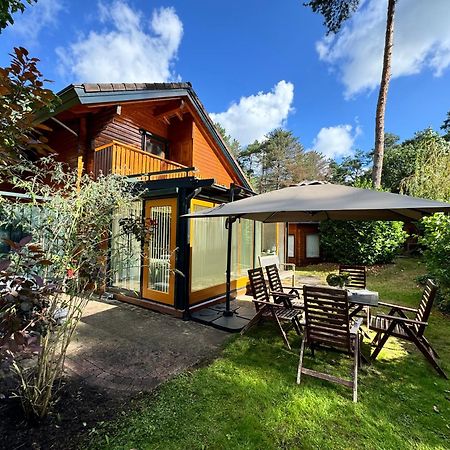 Houten Chalet/Bungalow In Het Bos, Sauna, Jacuzzi Meijel Exteriér fotografie
