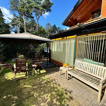 Houten Chalet/Bungalow In Het Bos, Sauna, Jacuzzi Meijel Exteriér fotografie